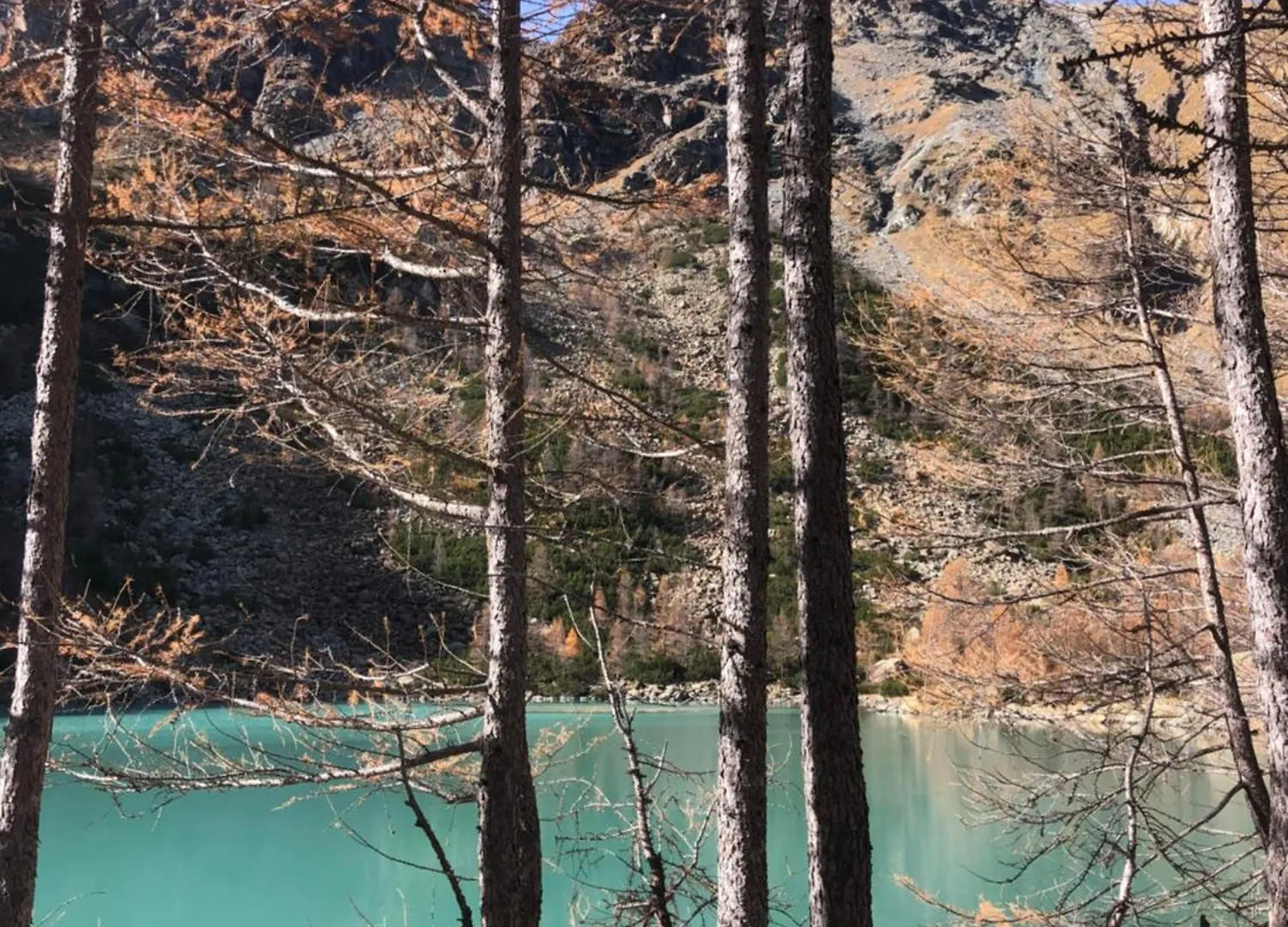 Baita Chalet La Masun Beautiful View Chiesa in Valmalenco Italy