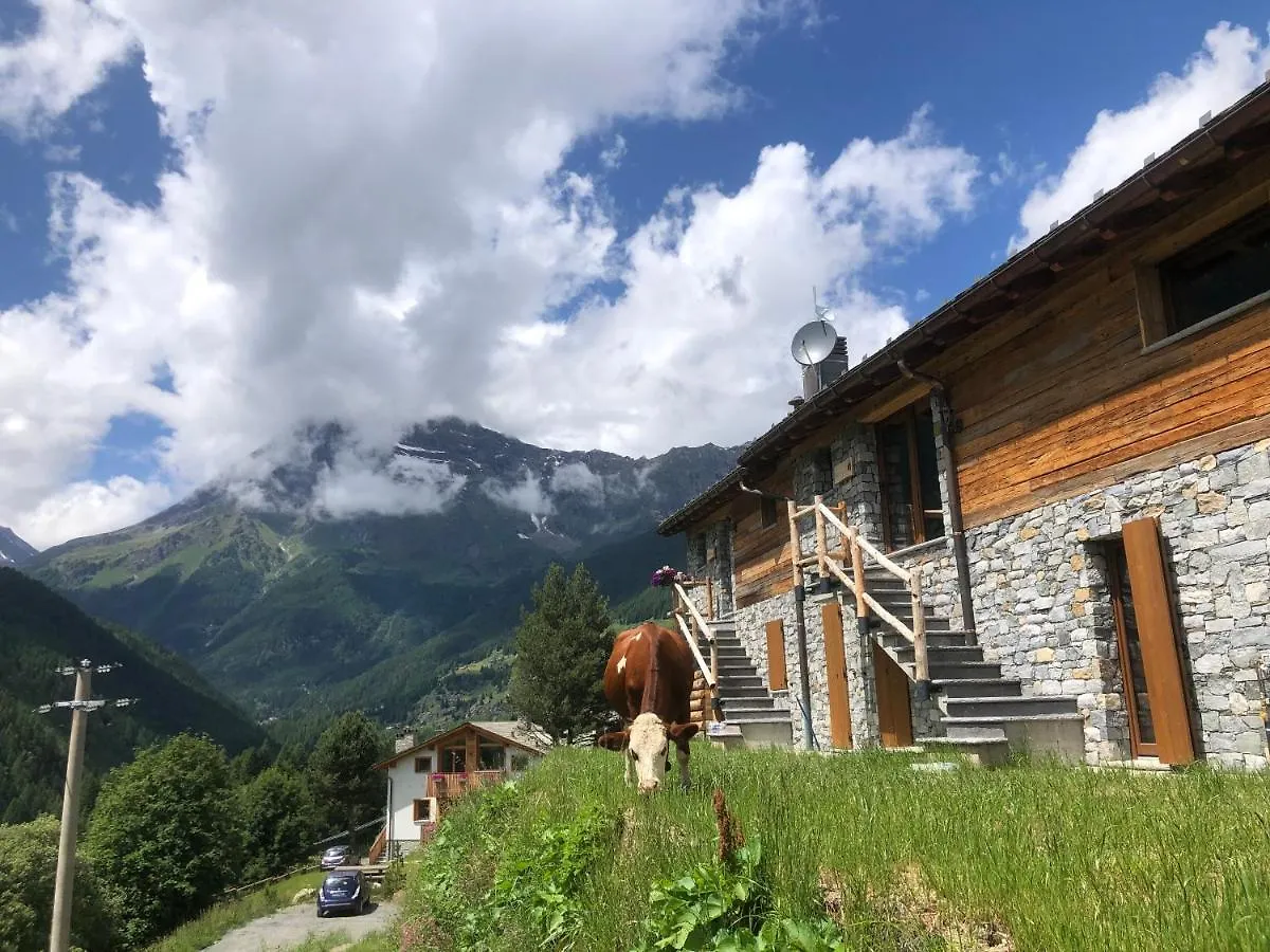 Baita Chalet La Masun Beautiful View Chiesa in Valmalenco