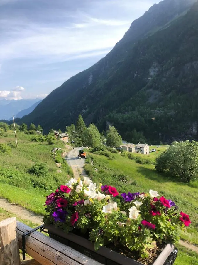 Baita Chalet La Masun Beautiful View Chiesa in Valmalenco