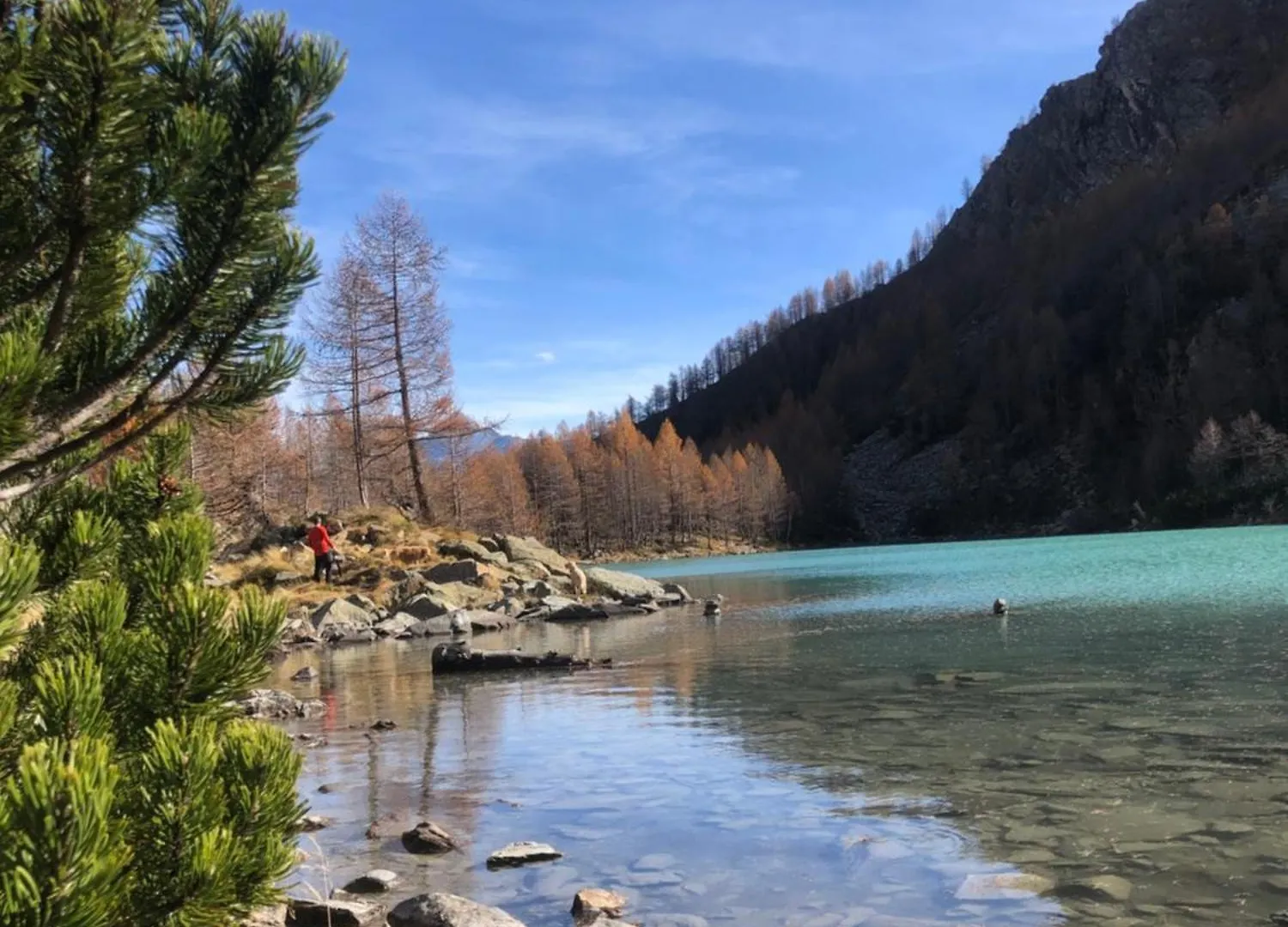 Baita Chalet La Masun Beautiful View Chiesa in Valmalenco Italia